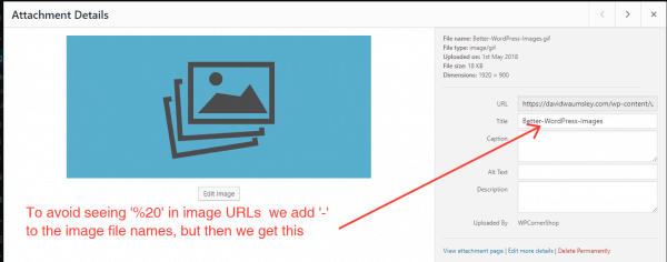 WordPress Image Metadata